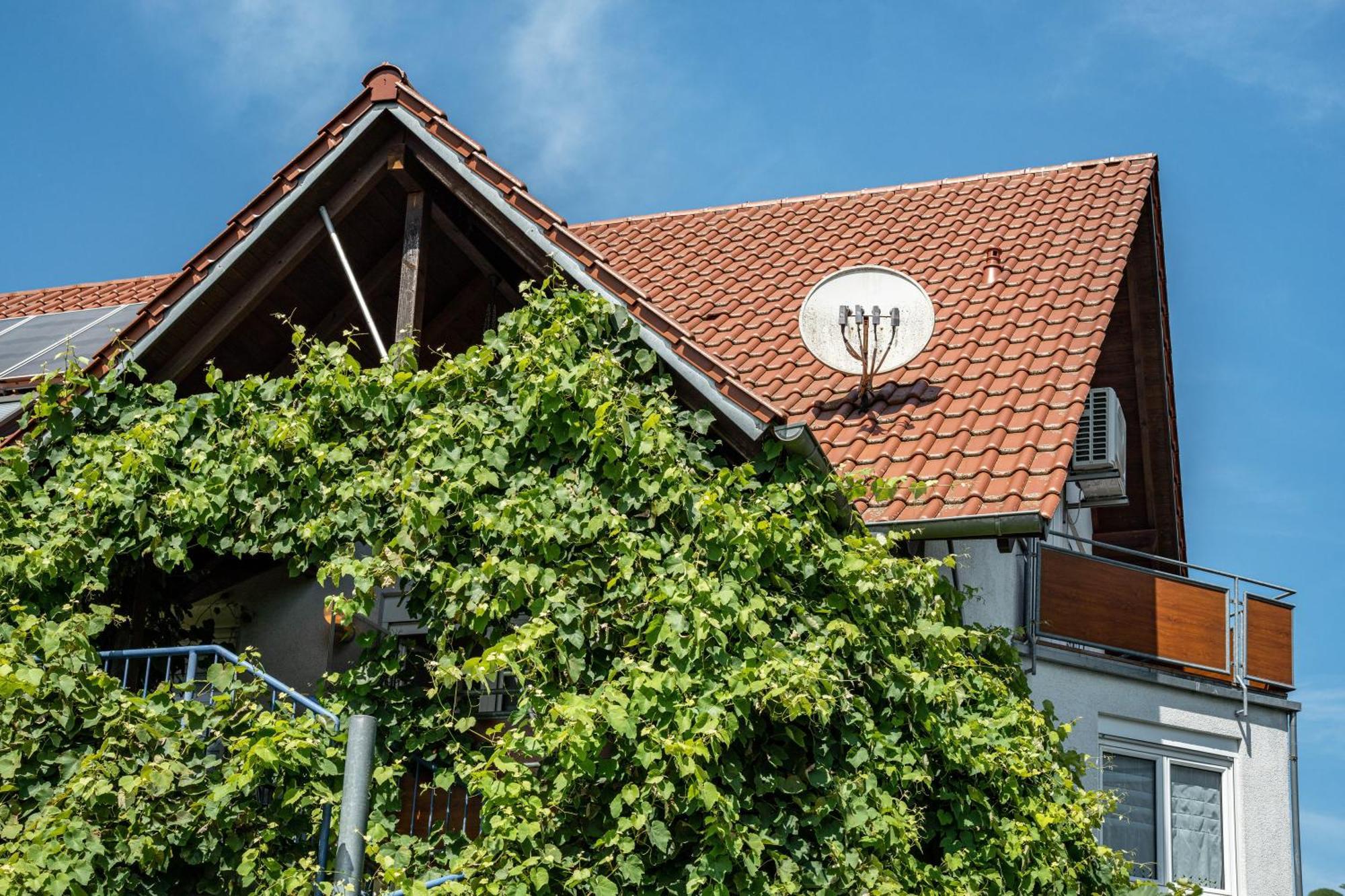 Ferienwohnung Leon Kappel-Grafenhausen Exterior photo